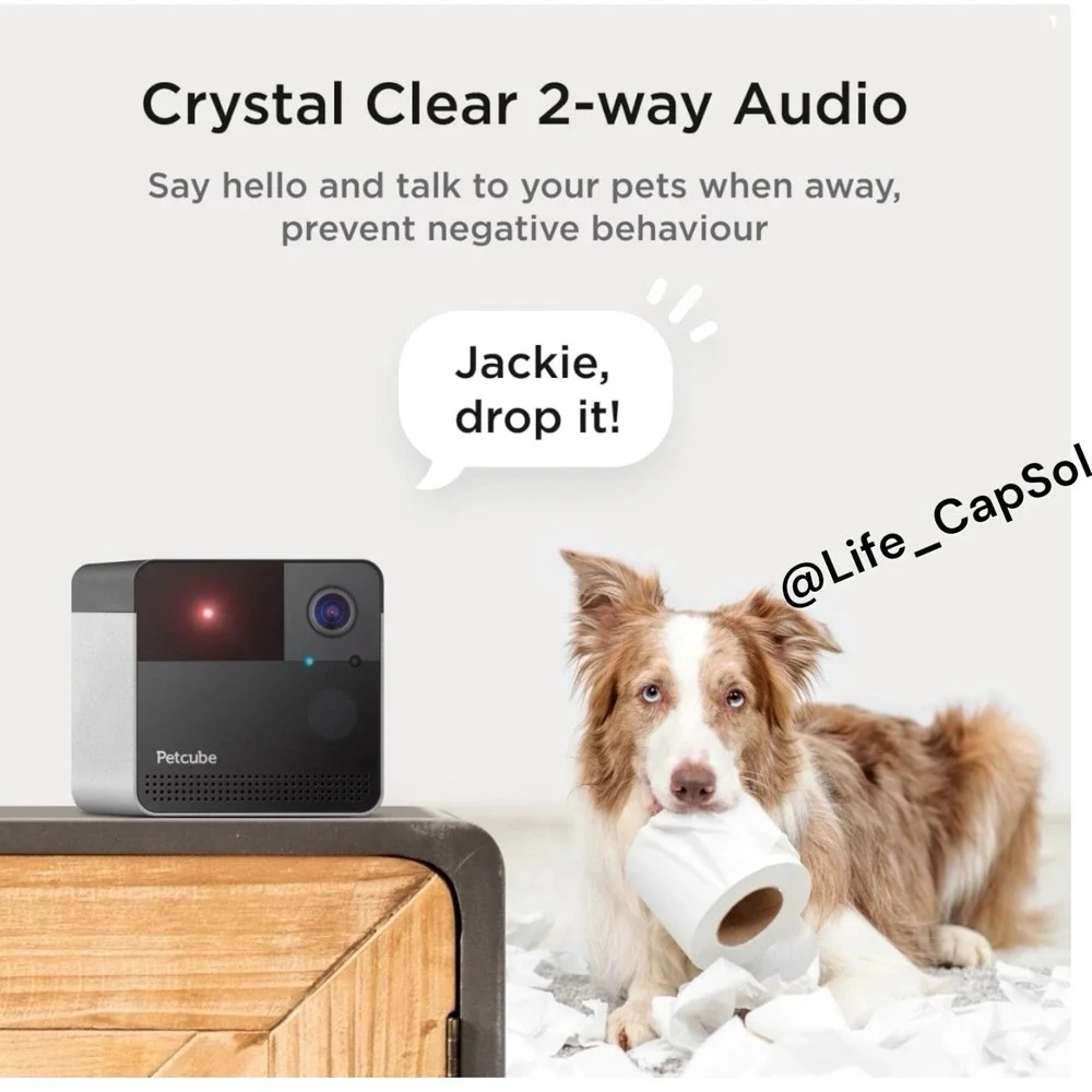 Petcube Play 2 Wi-Fi Pet Camera with Laser Toy for Cats & Dogs Indoor Camera New